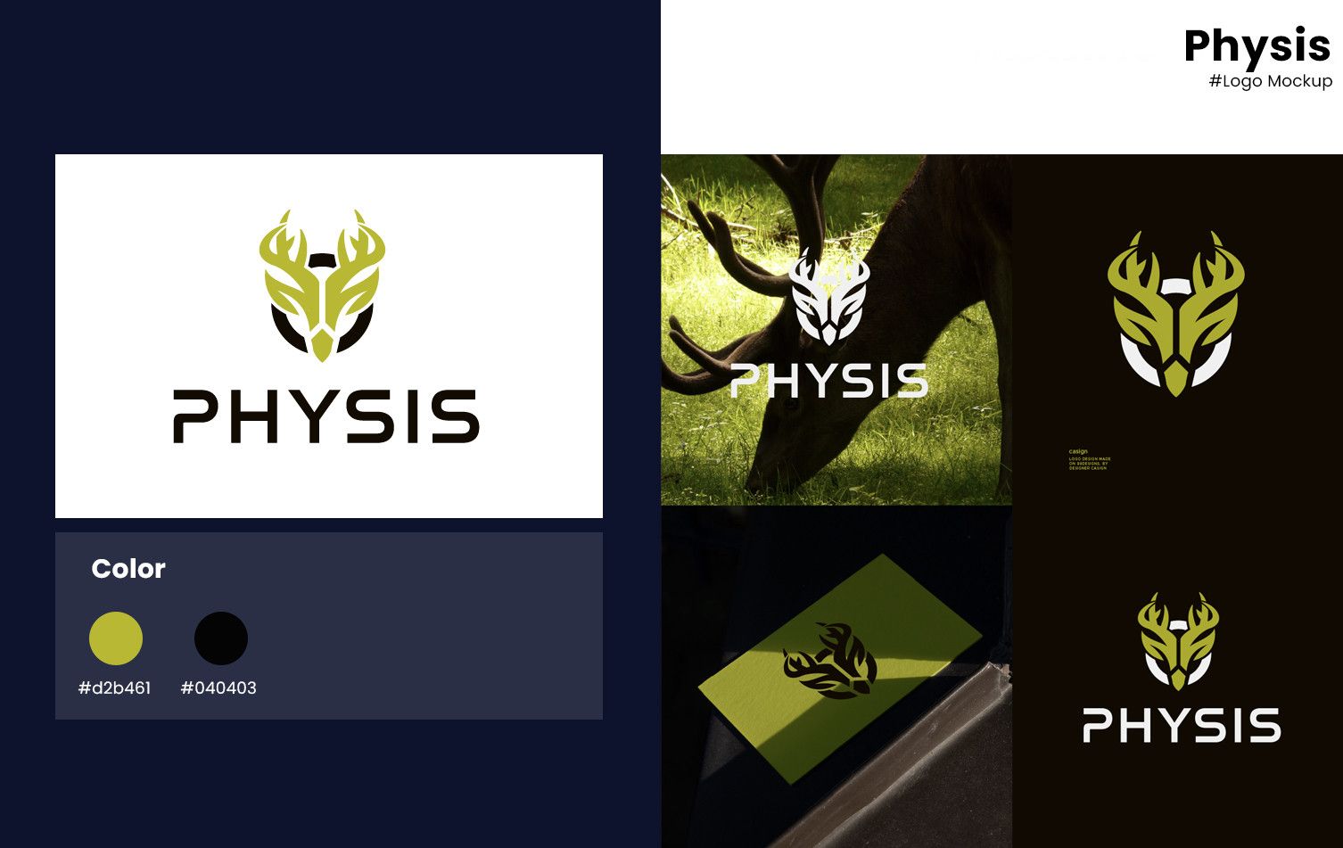 Proiect Logo Design Pixelora